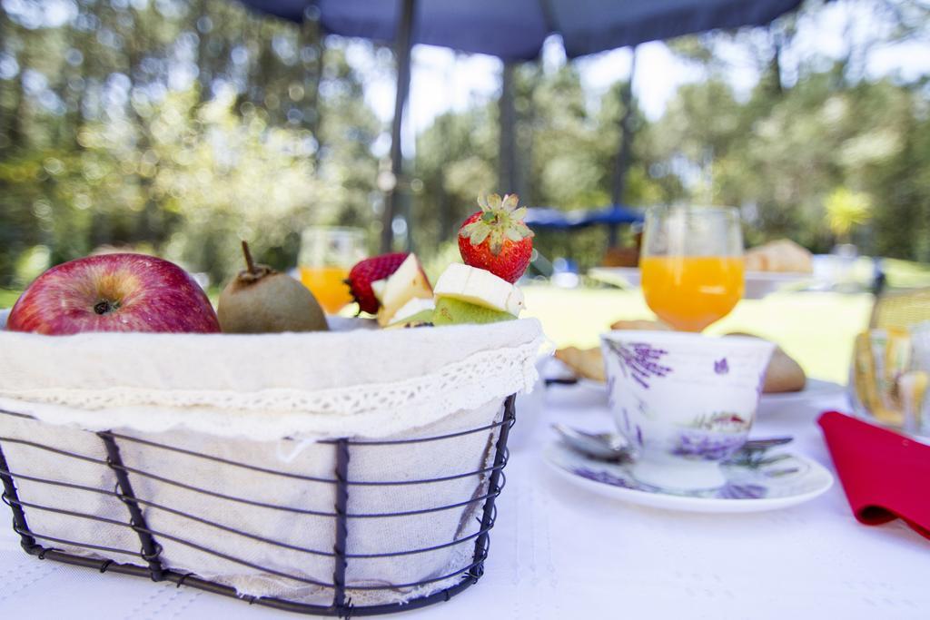 Neike Boutique Hotel Μαλντονάντο Εξωτερικό φωτογραφία